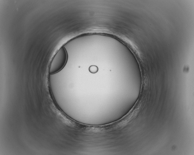 X0000096711374200802261619