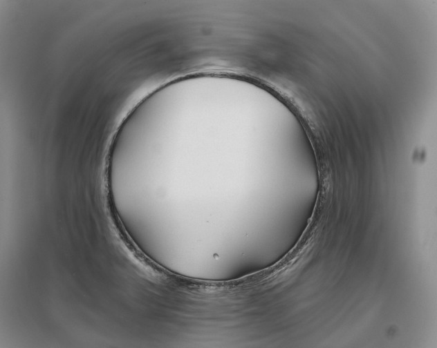 X0000096711375200802261619