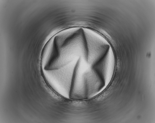 X0000096711378200802261619