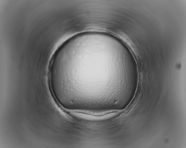 X0000096711379200802261619