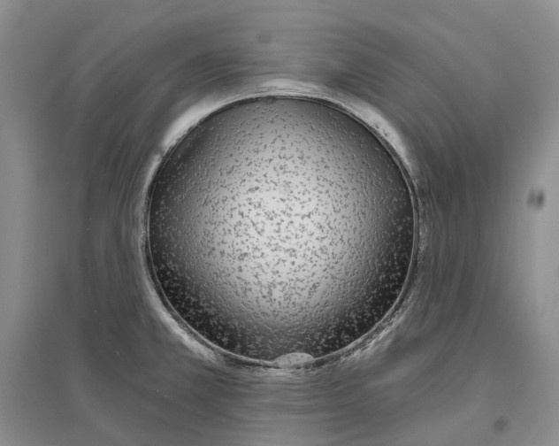 X0000096711381200802261619