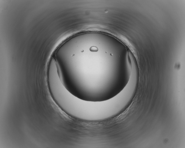 X0000096711384200802261619