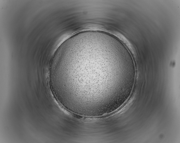 X0000096711385200802261619