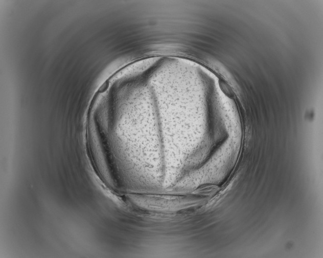 X0000096711386200802261619