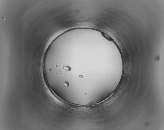 X0000096711387200802261619