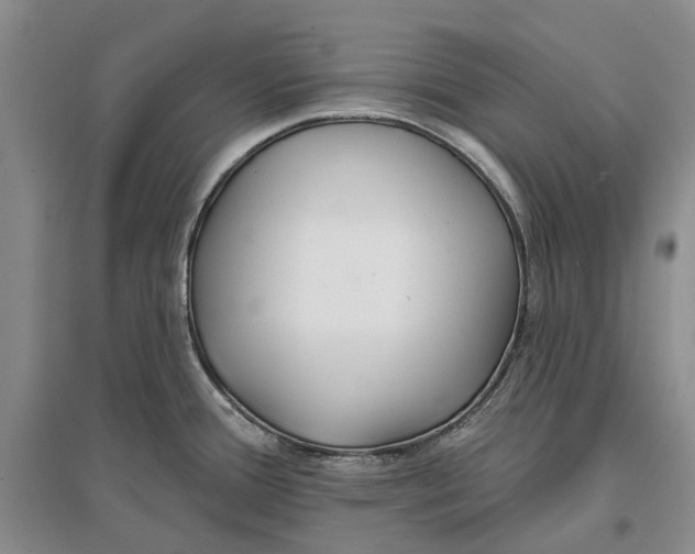 X0000096711388200802261619