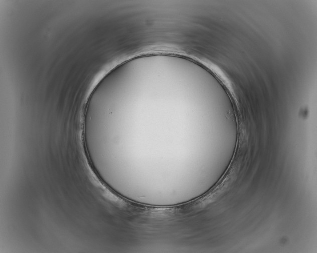 X0000096711390200802261618