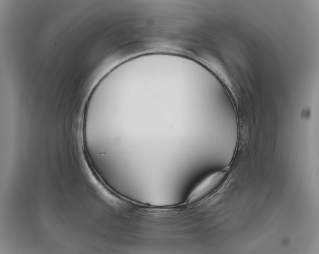 X0000096711391200802261618