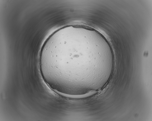 X0000096711392200802261618