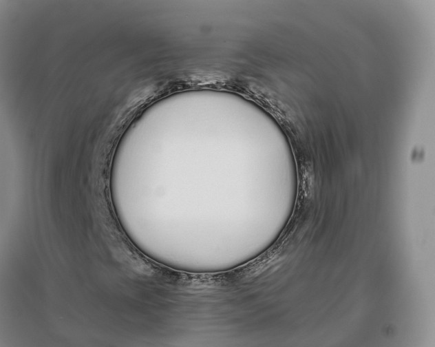 X0000096711393200802261618