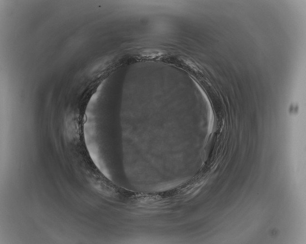 X0000096711394200802261618