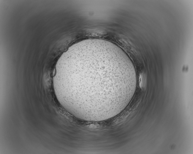 X0000096711395200802261618