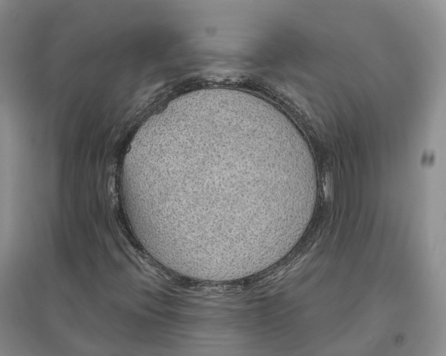 X0000096711396200802261618