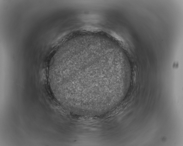 X0000096711397200802261618