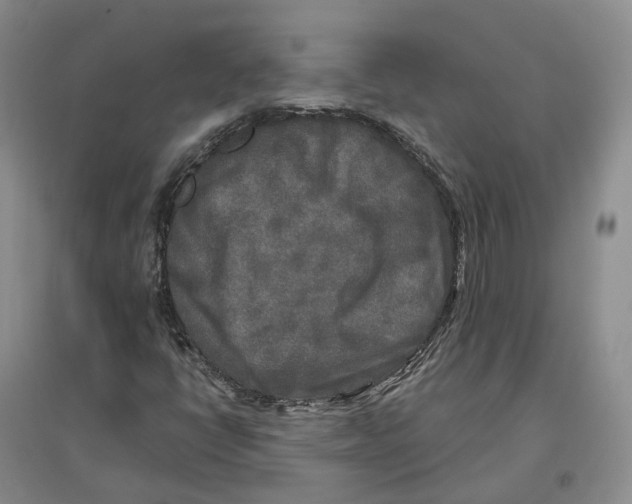 X0000096711398200802261618