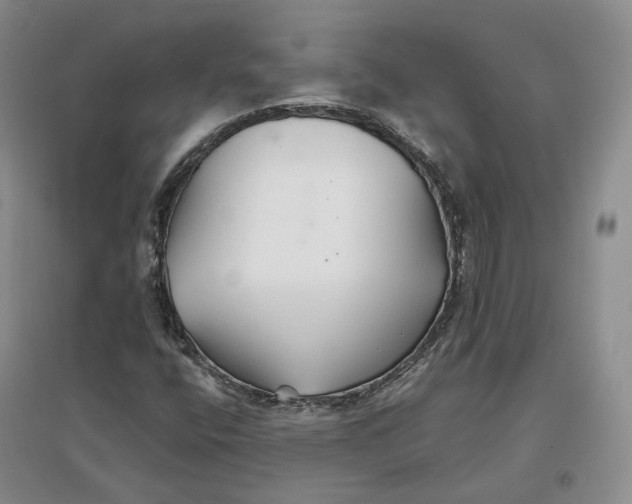 X0000096711400200802261618