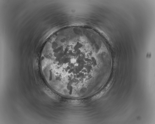 X0000096711401200802261618