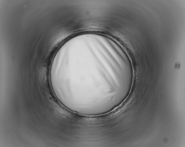 X0000096711402200802261618