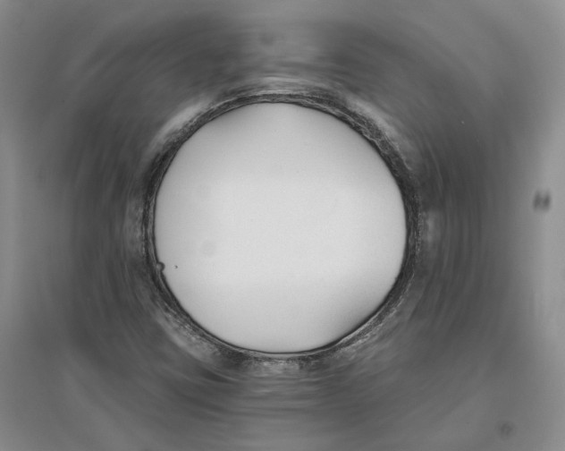 X0000096711403200802261618