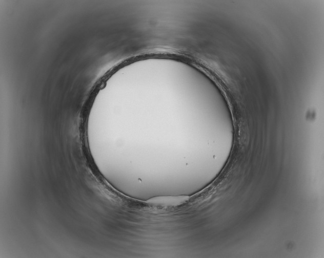 X0000096711404200802261618