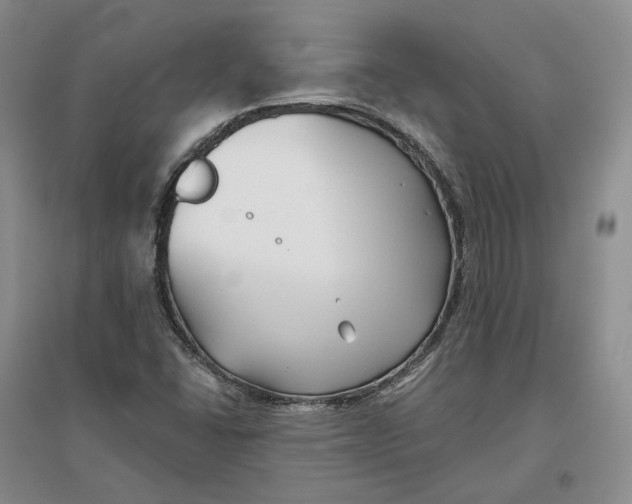 X0000096711406200802261618