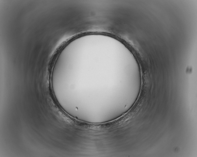 X0000096711408200802261618