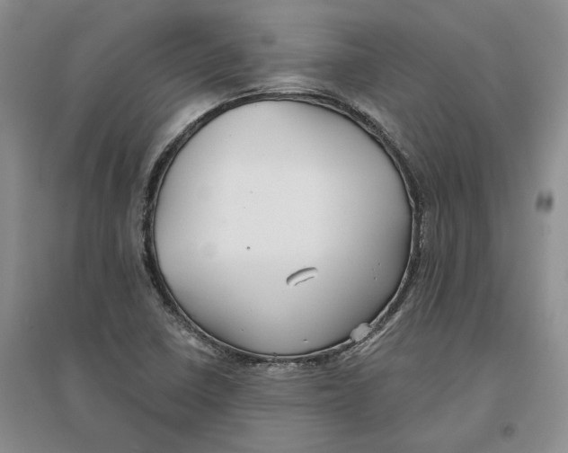 X0000096711410200802261618