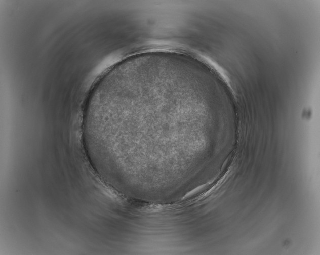 X0000096711411200802261618