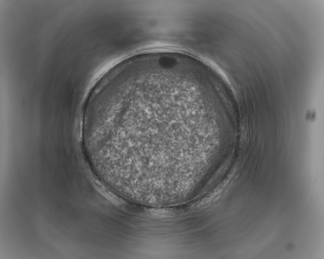 X0000096711413200802261618