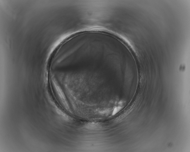 X0000096711414200802261618