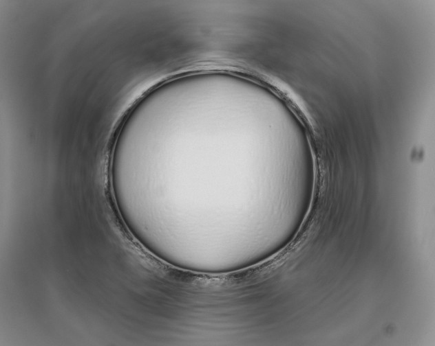 X0000096711415200802261618