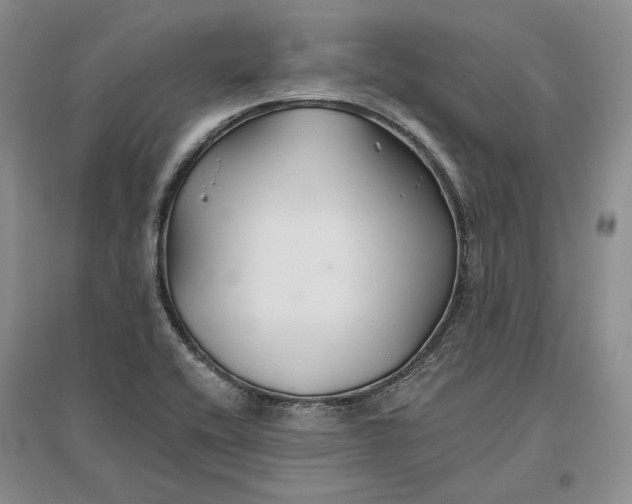 X0000096711416200802261618