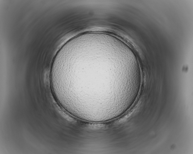 X0000096711417200802261618