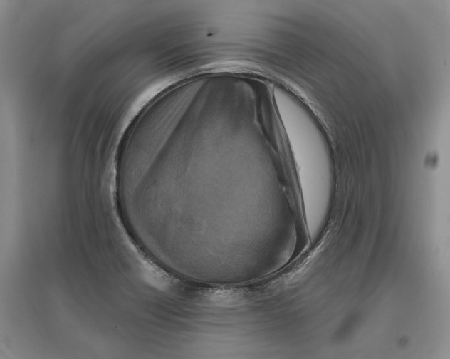 X0000096711418200802261618