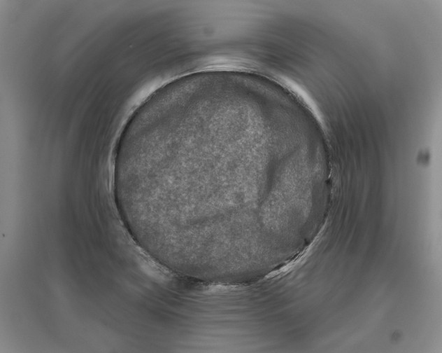 X0000096711419200802261618