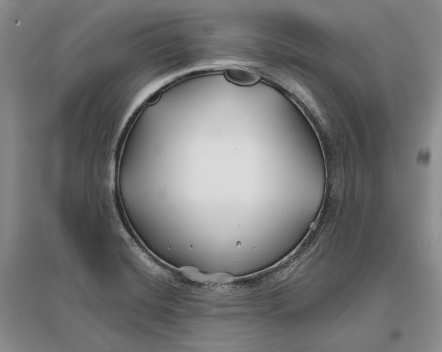 X0000096711420200802261618