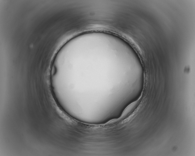 X0000096711421200802261618