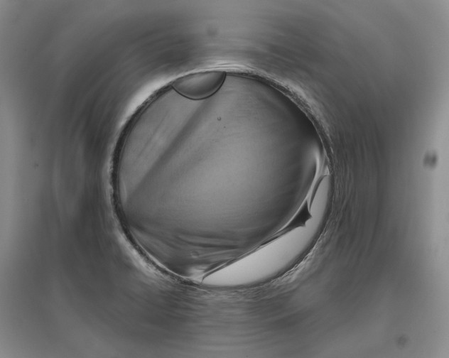 X0000096711422200802261618