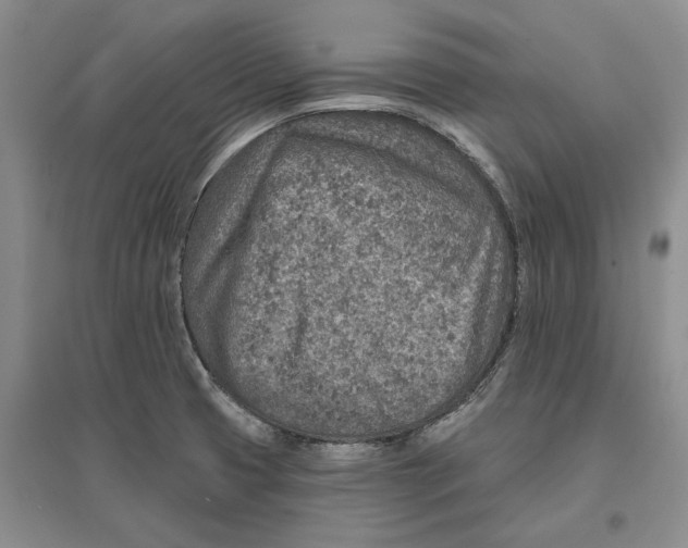 X0000096711425200802261618