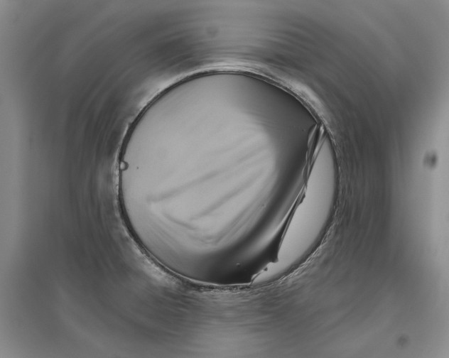 X0000096711428200802261618