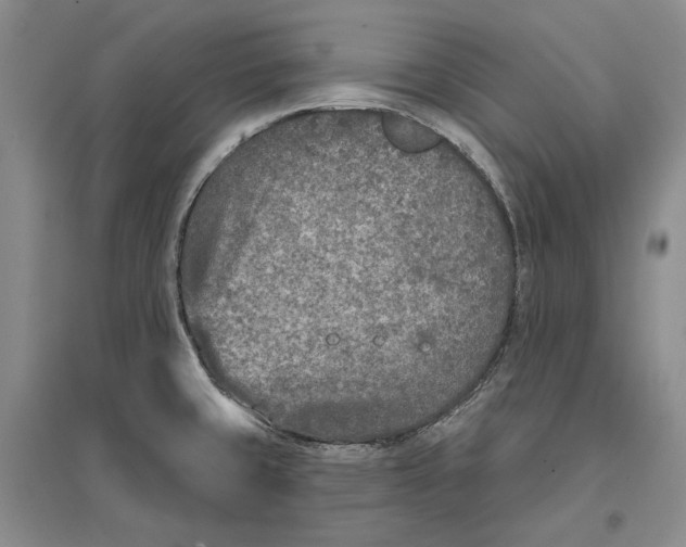 X0000096711429200802261618