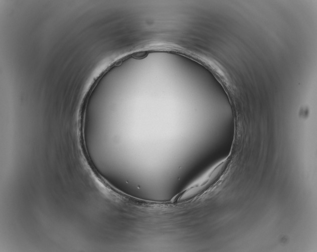 X0000096711430200802261618