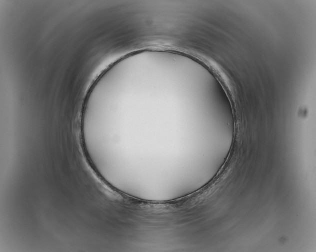 X0000096711432200802261618