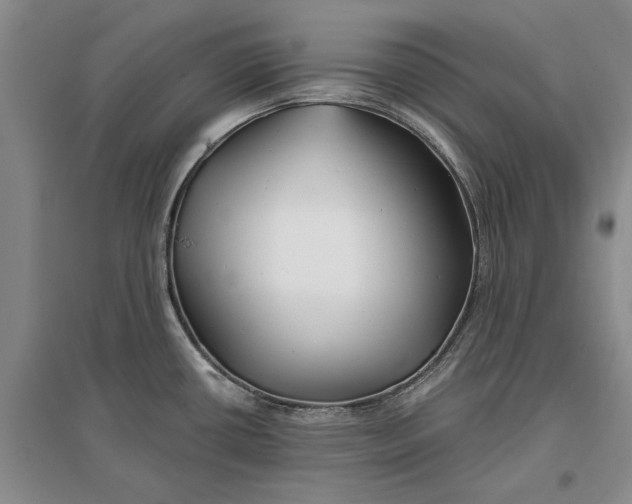 X0000096711434200802261618