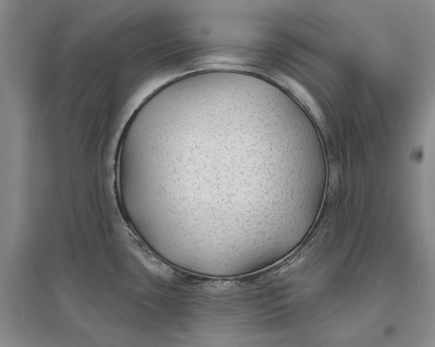 X0000096711435200802261618