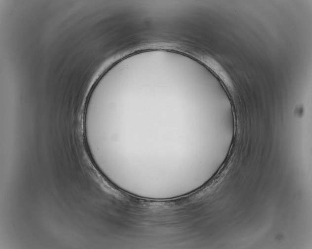 X0000096711436200802261618