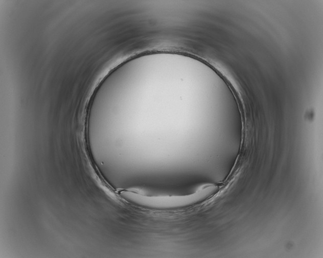 X0000096711437200802261618