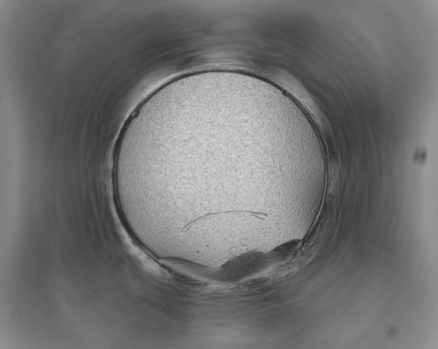 X0000096711439200802261618