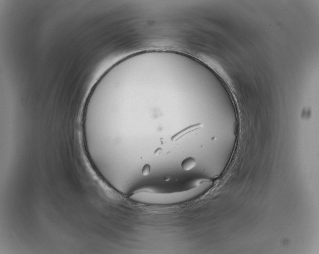 X0000096711440200802261618