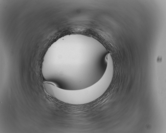 X0000096711441200802261618